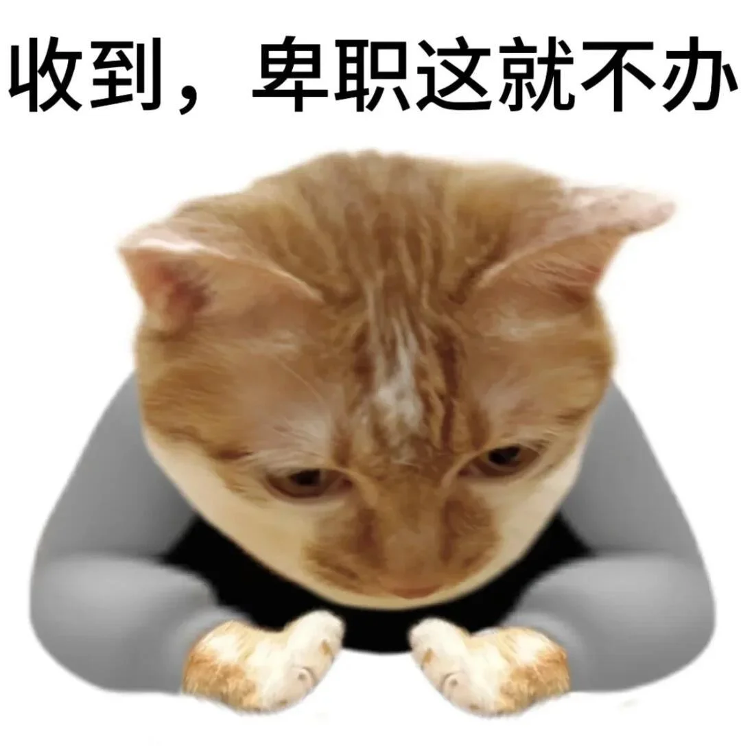 低头的猫,配字:收到,卑职这就不办